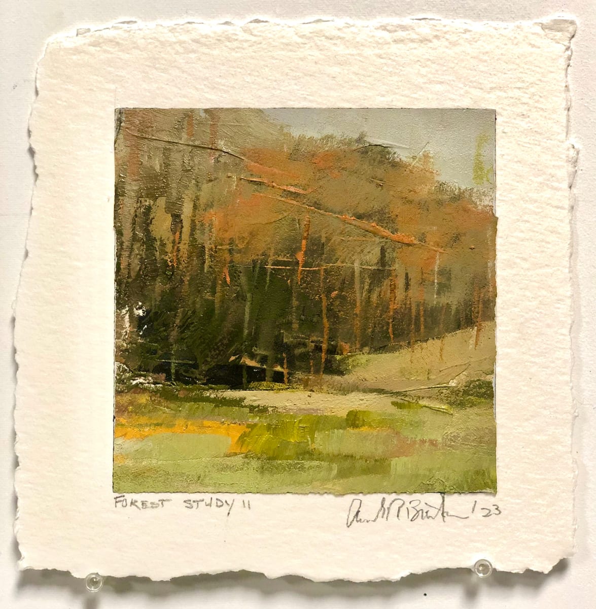 forset study II by andy braitman, Image 4.