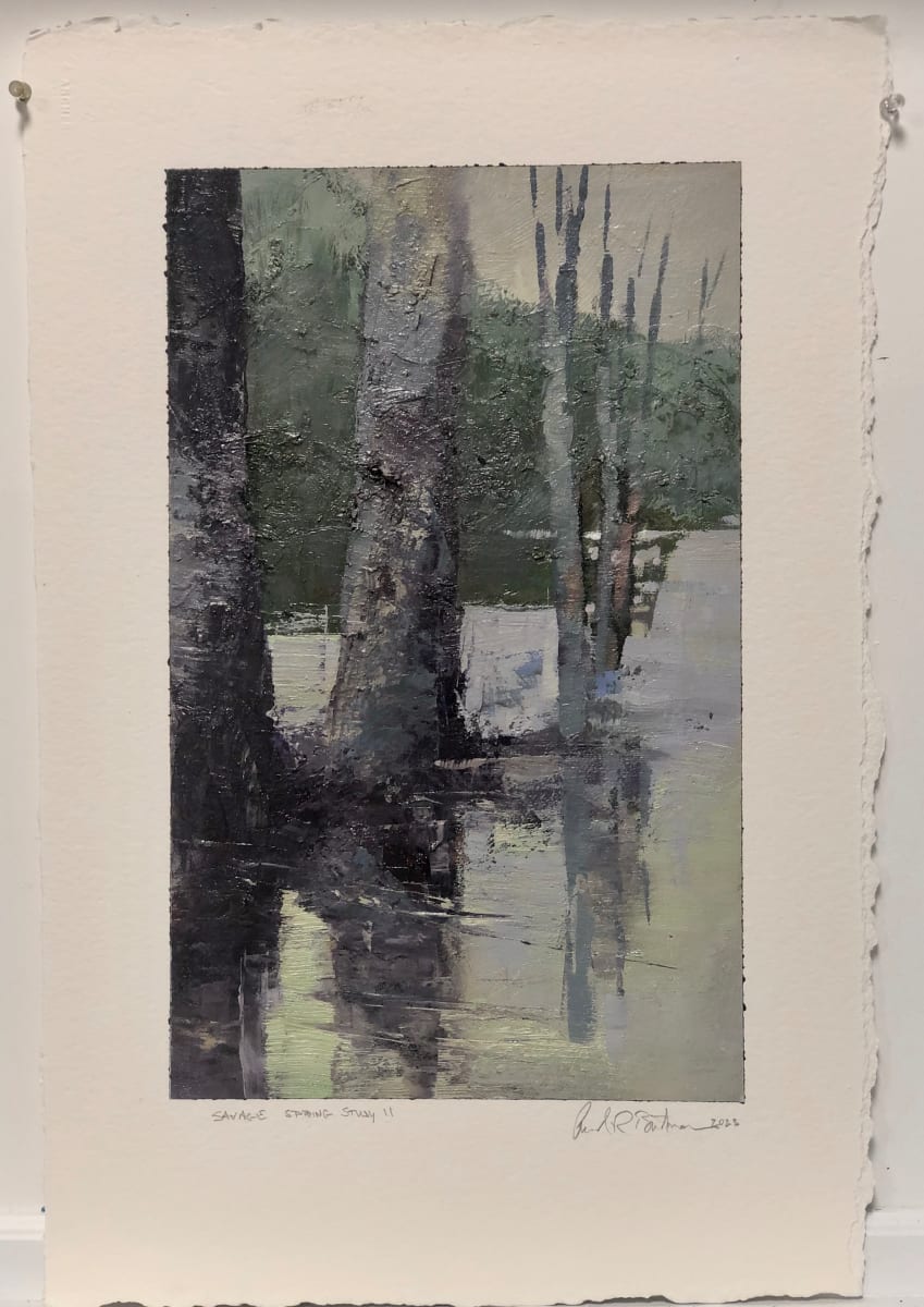 Savage Spring Study II by andy braitman, Image 4.