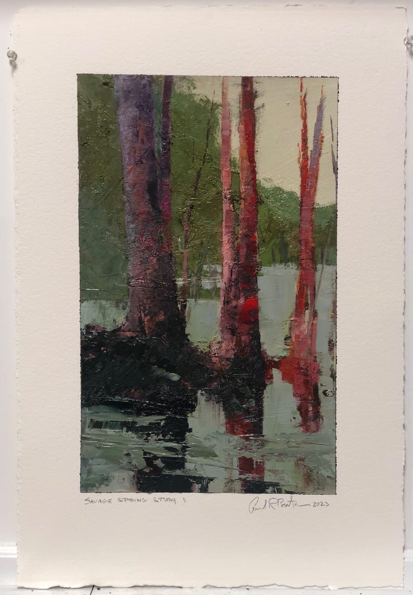 Savage Spring Study I by andy braitman, Image 4.