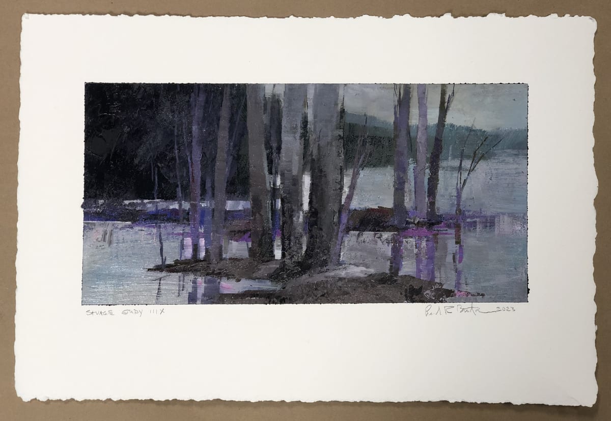 Savage Study IIIX by andy braitman, Image 4.