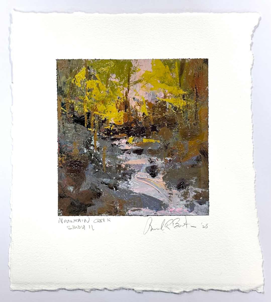 Mountain Creek Study II by andy braitman, Image 2.