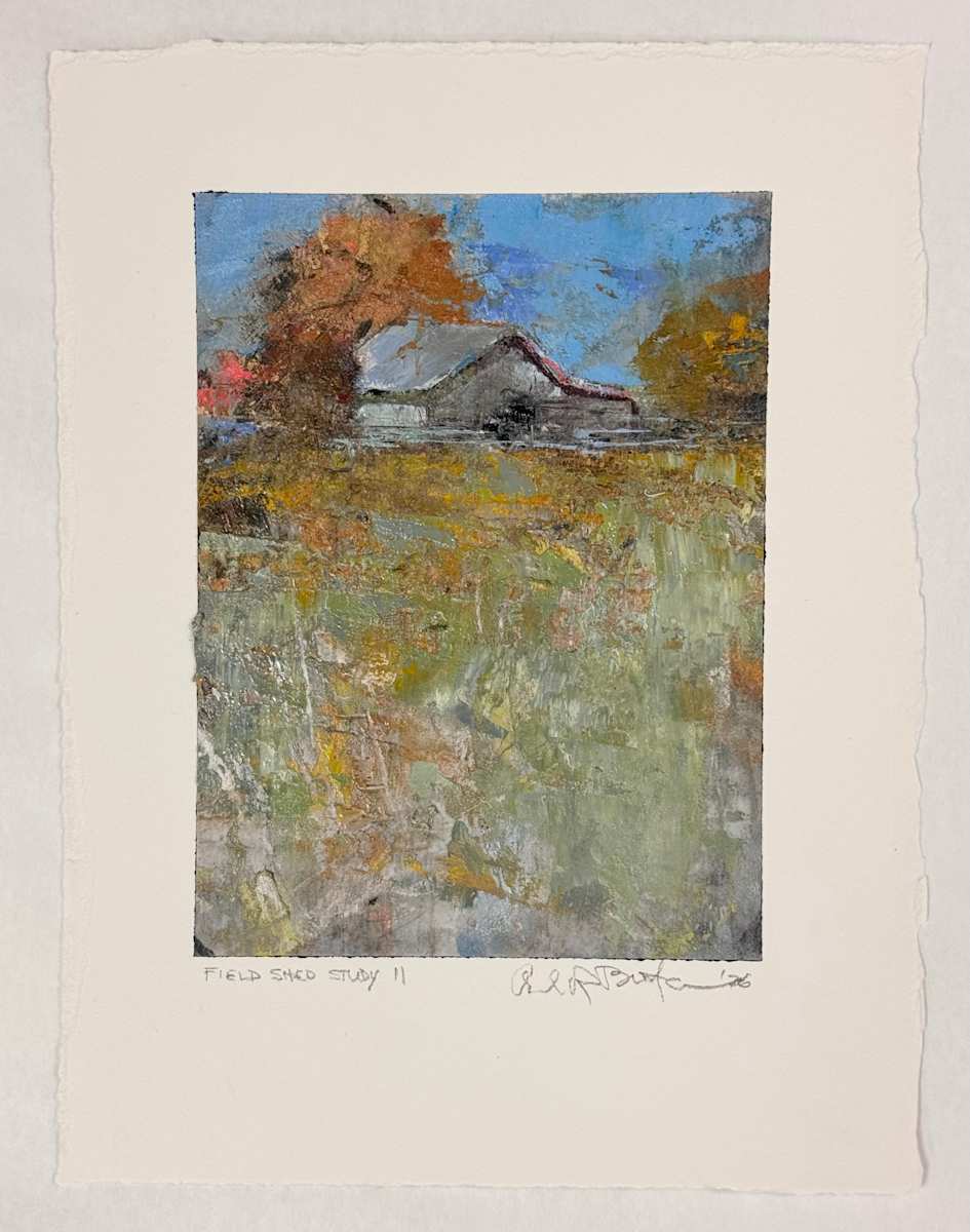field shed study II by andy braitman, Image 9.