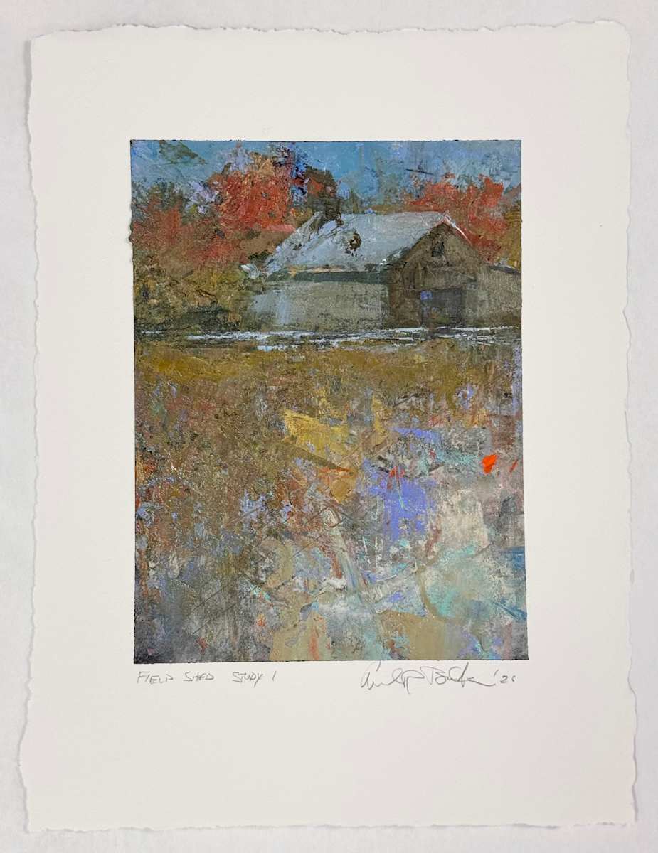 field shed study I by andy braitman, Image 7.