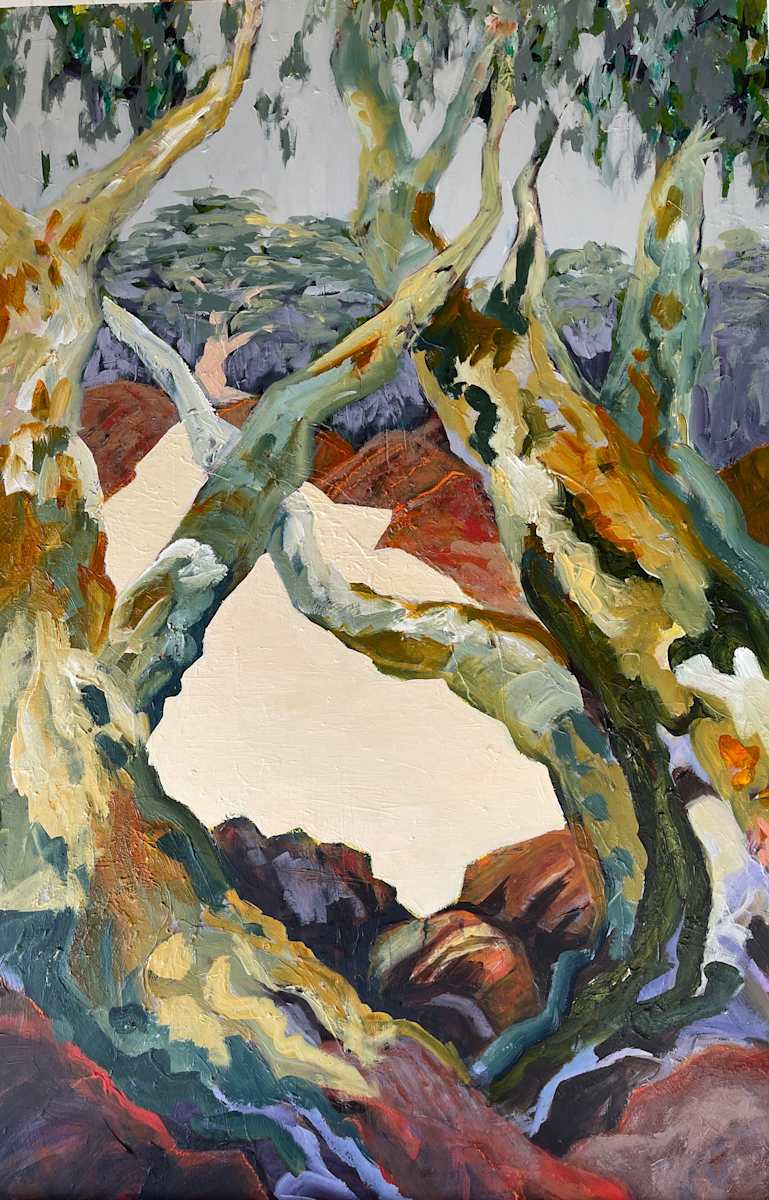 Paroo Rive before the rain by Suellen Tomkins, Image 1.
