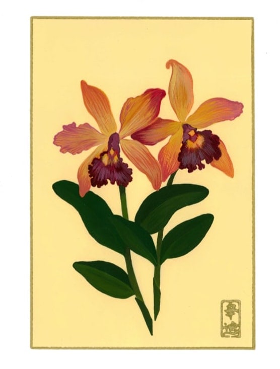 24th of November “Cattleya” by Cindy Cal 