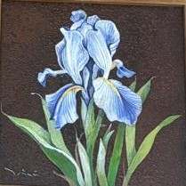 Flower blue by Woravit Laokwansathit 