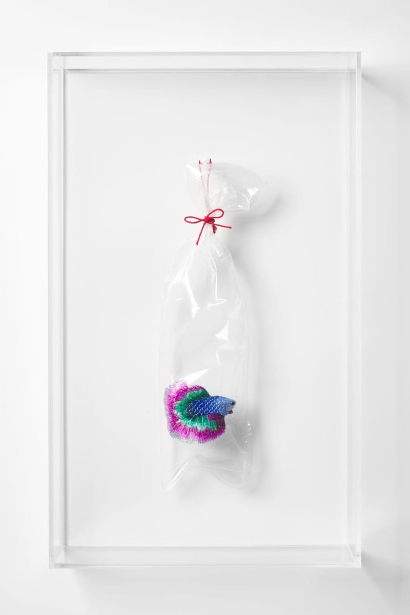 Betta Fish #7 (Embroidery on Plastic Bag series) by Angel Hui 