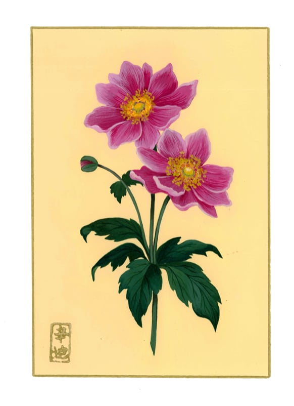 14th of September “Japanese Anemone” by Cindy Cal 