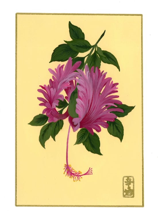 15th of November “Fringed Hibiscus” by Cindy Cal 