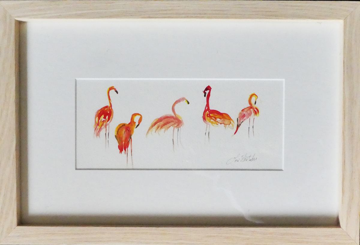 Flamingo-Dallas Zoo by Lori Morrell Whitaker, Image 1.