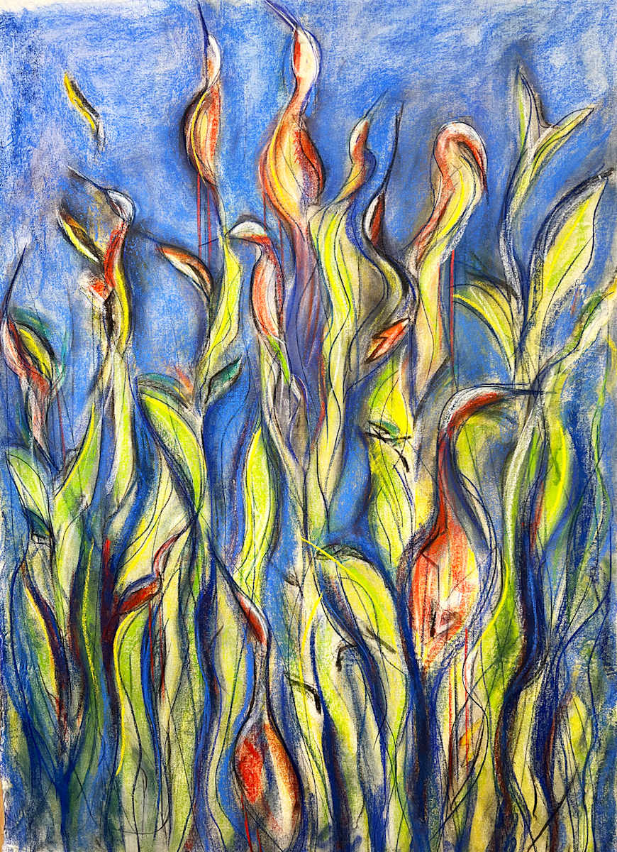 Nesting by Lori Morrell Whitaker, Image 12.