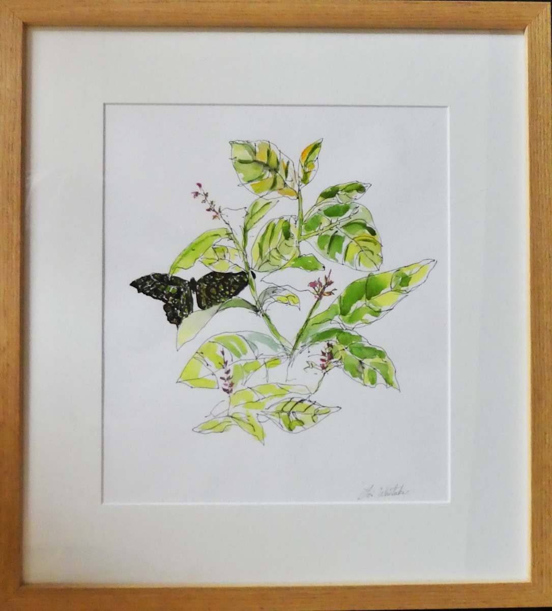 A Brief Flight by Lori Morrell Whitaker, Image 2.