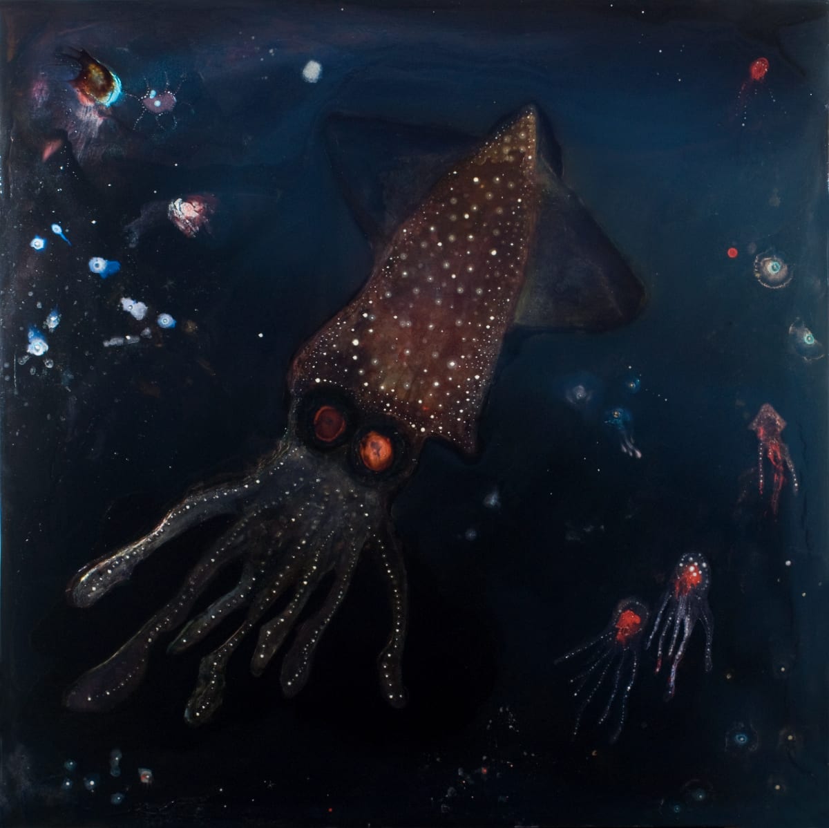 pulpo 4 by Nicolas Bedel 