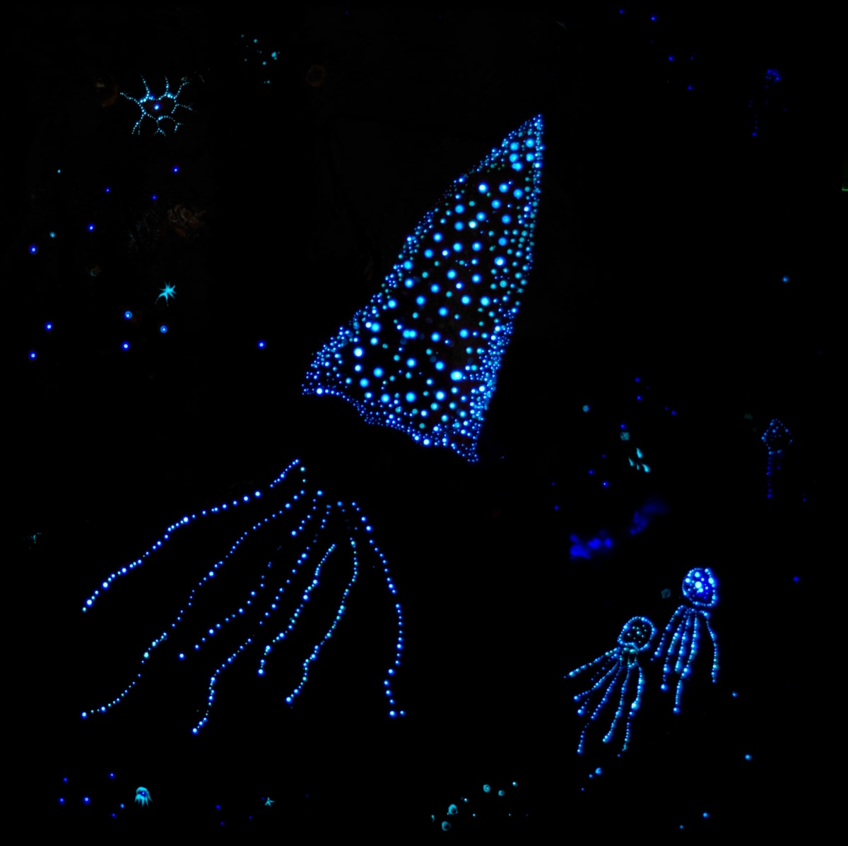 pulpo 4 glow by Nicolas Bedel 