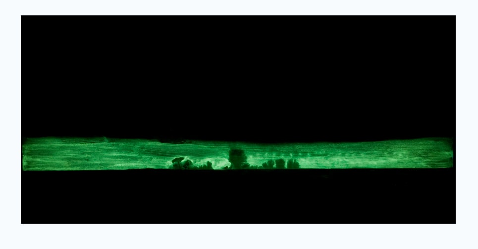 Winterreise (Glow in the dark) by Nicolas Bedel  Image: Winterreise. (Glow in the dark)Tintas, resinas acrilicas y pigmentos luminiscentes s/ tablero de madera, 183.5x86cm