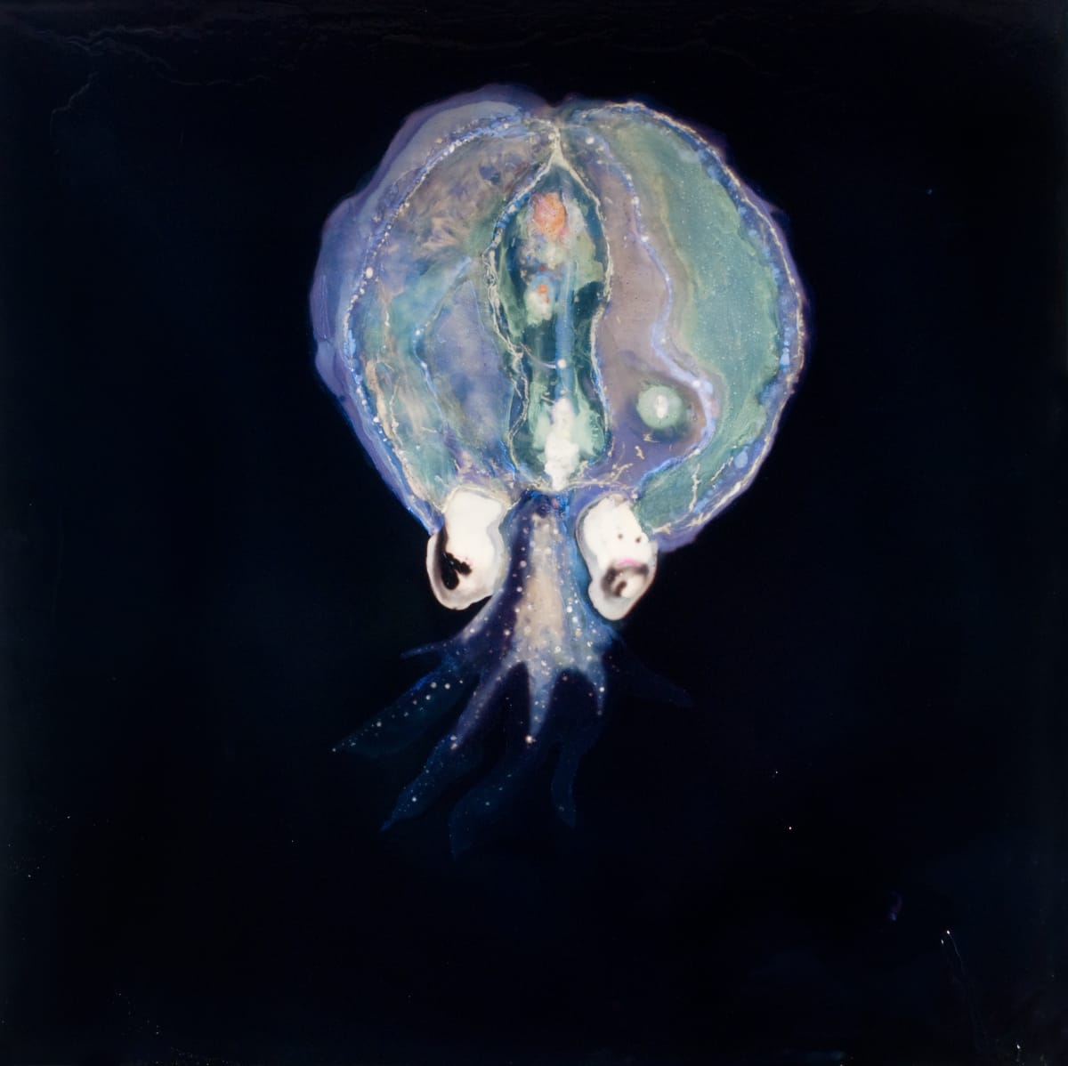 Pulpo 2 by Nicolas Bedel 
