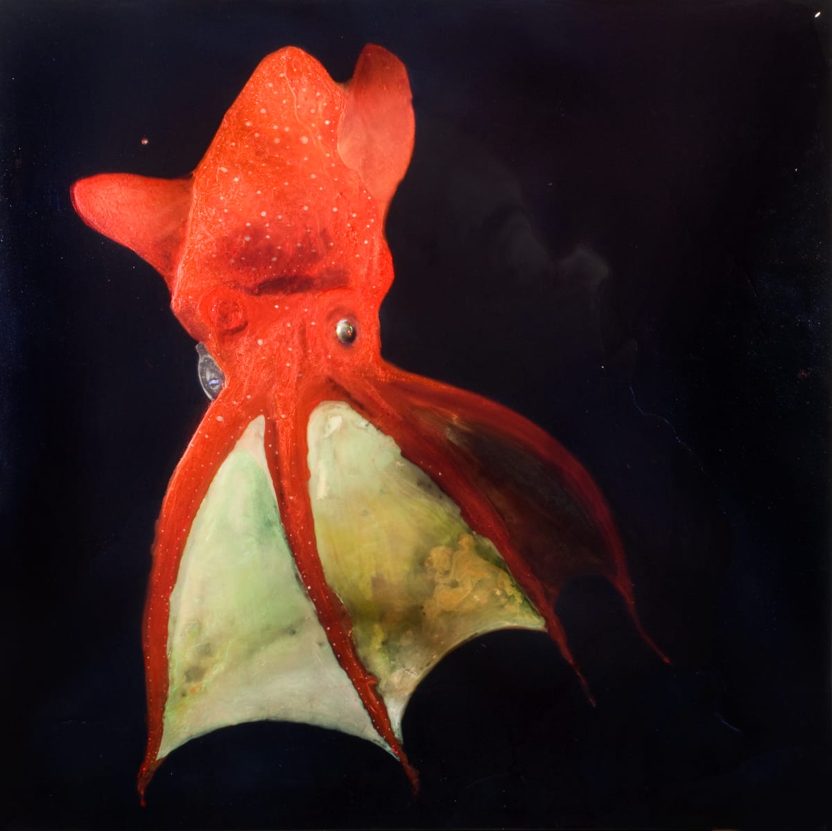 pulpo 3 by Nicolas Bedel 