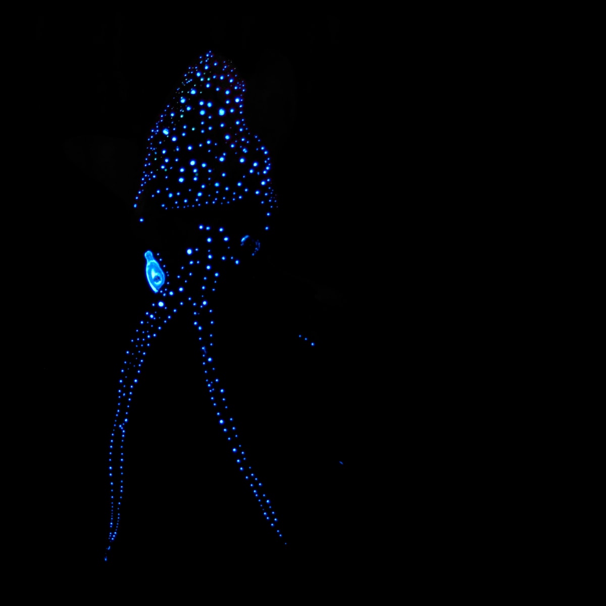 pulpo 3 glow by Nicolas Bedel 