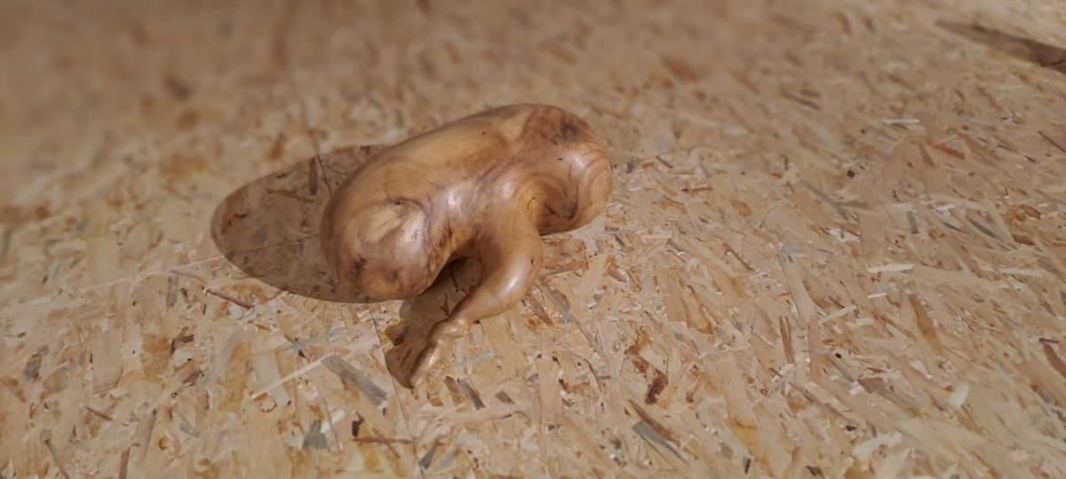 Reconstrucción by Gerda Gruber, Image 2.