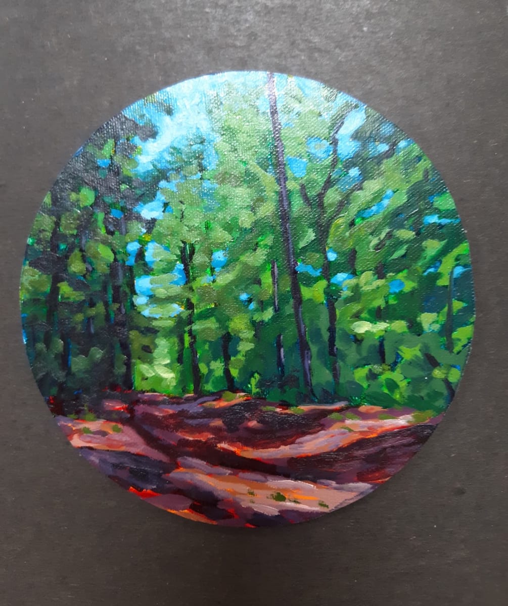 Trail Through the Woods, Image 1.