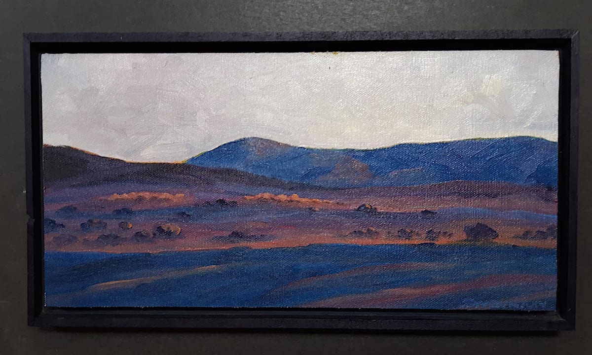 Borrego Evening Glow, Image 1.