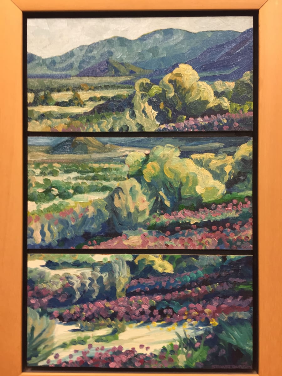 Borrego Springs by Stuart Burton 