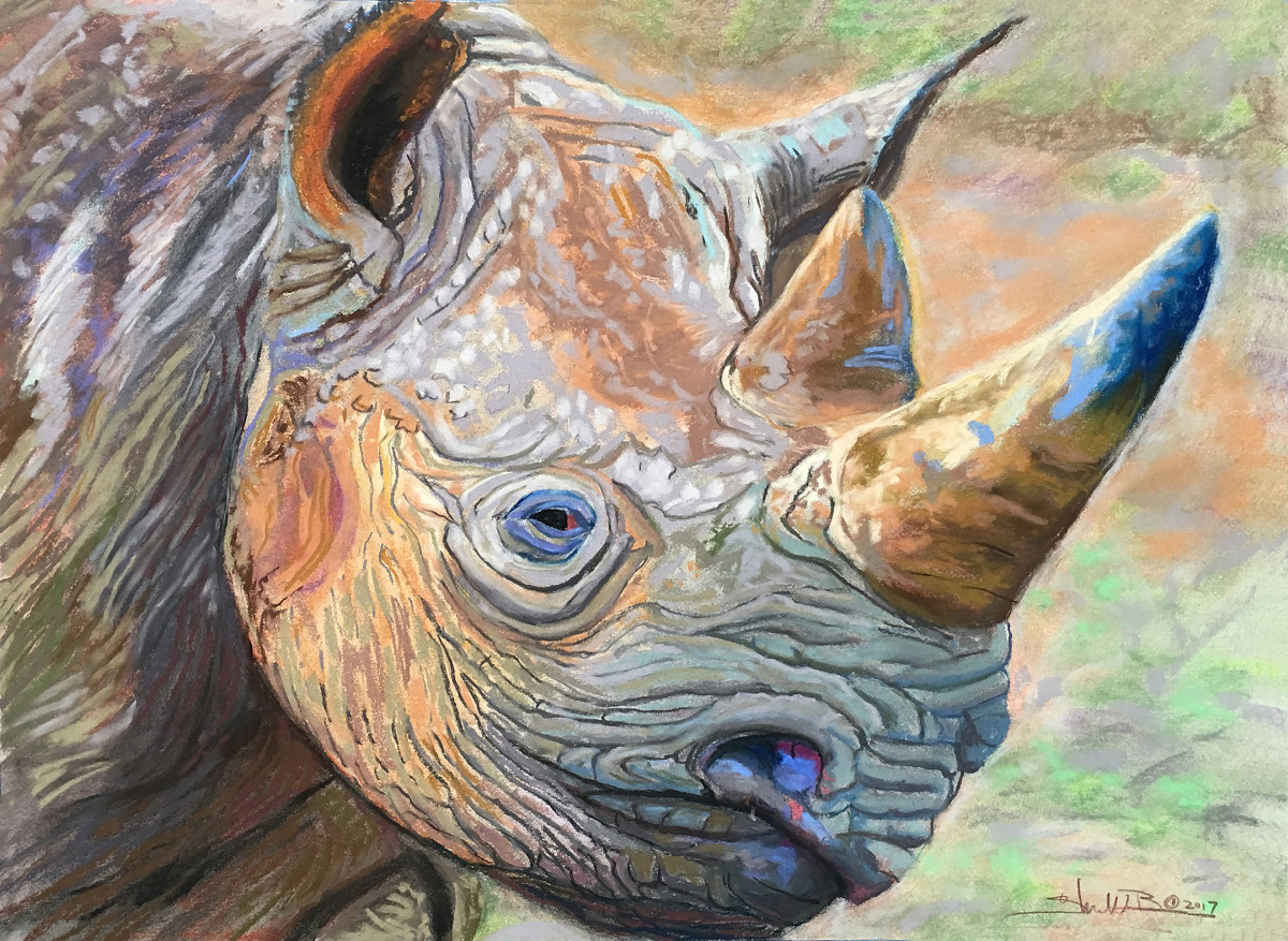 BLACK RHINO by Stuart Burton 