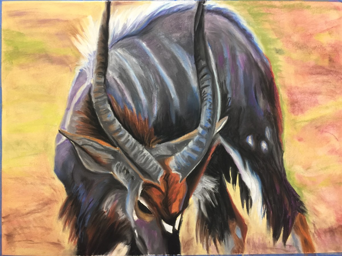 Nyala Buck by Stuart Burton 