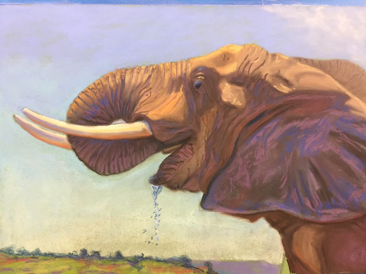 Elephant Drink by Stuart Burton 