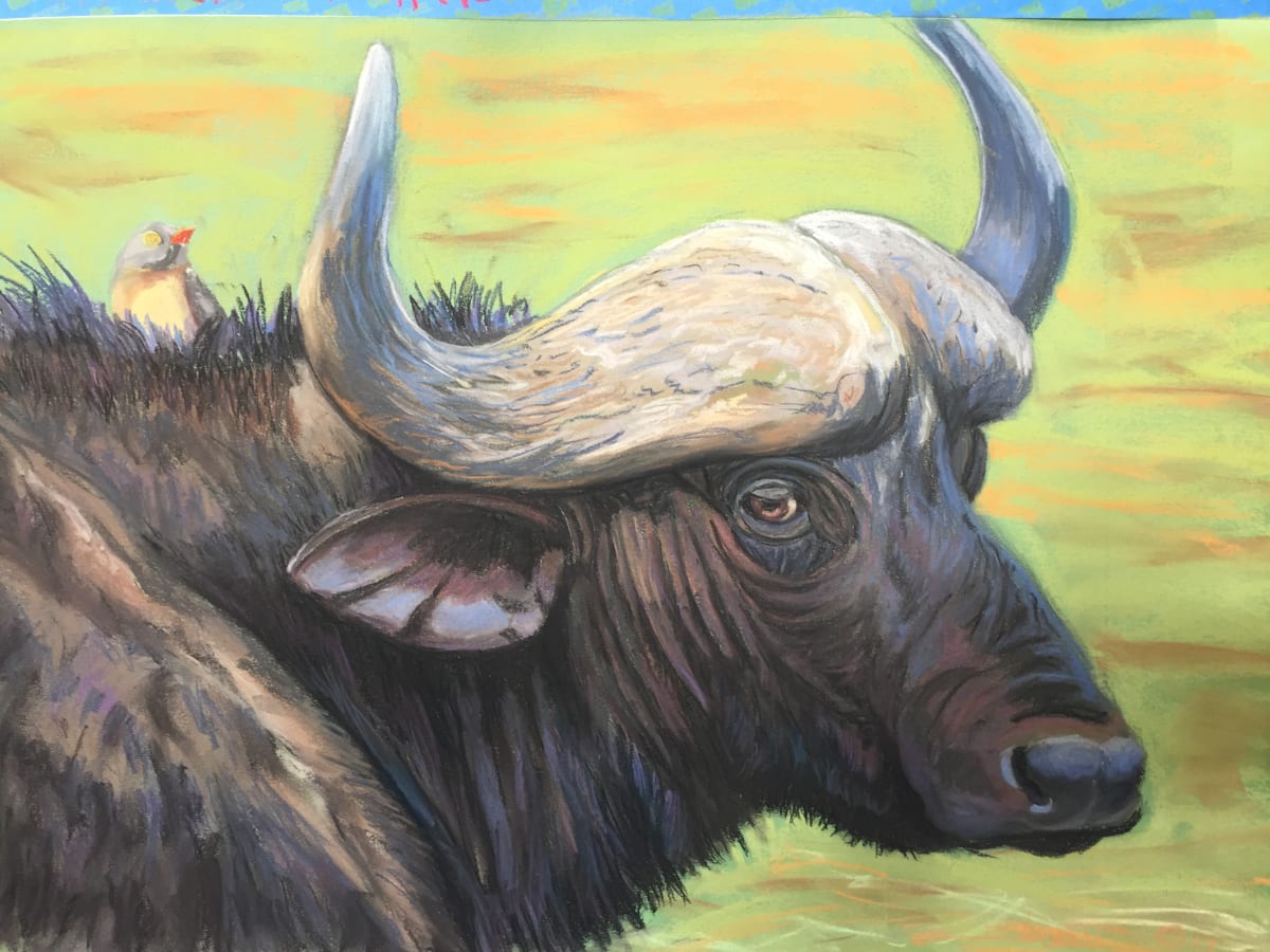 Cape Buffalo and Friend by Stuart Burton 