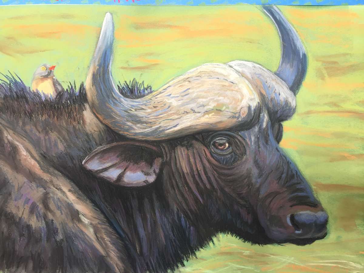 Cape Buffalo and Friend by Stuart Burton, Image 1.
