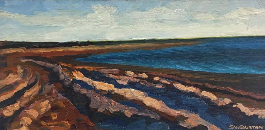 La Laguna San Ignacio by Stuart Burton, Image 1.