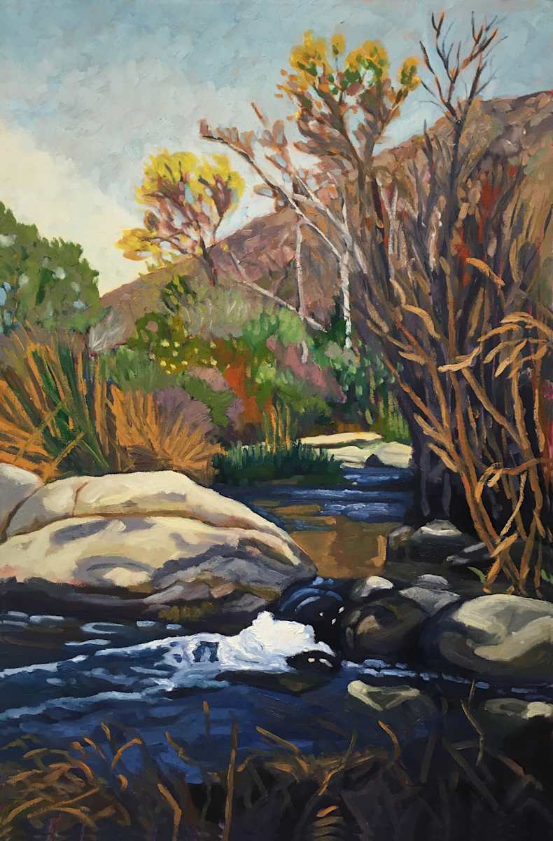 Stream- Mission Trails by Stuart Burton, Image 1.