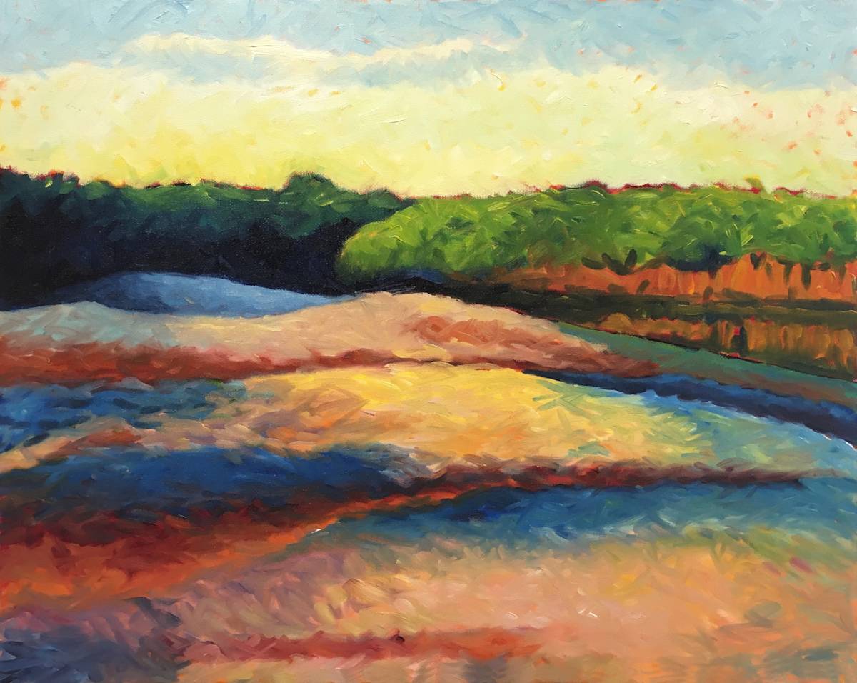 San Ignatio Lagoon by Stuart Burton, Image 1.