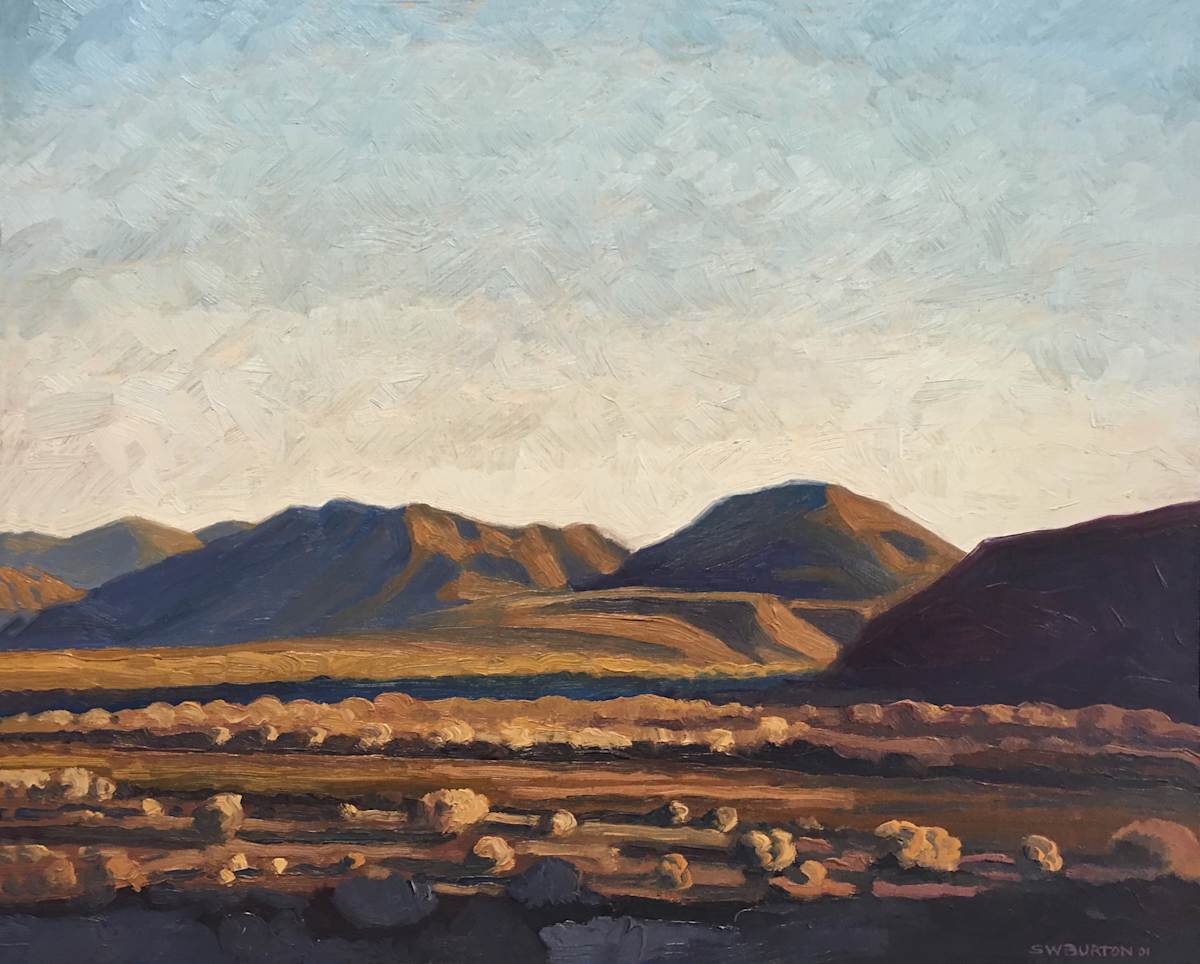 Borrego Gold by Stuart Burton, Image 1.