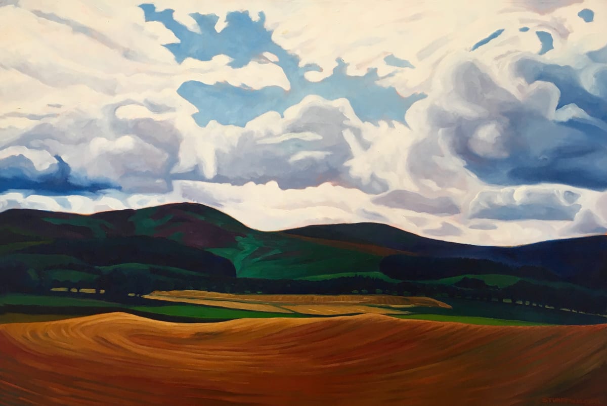 Orange Field by Stuart Burton, Image 1.