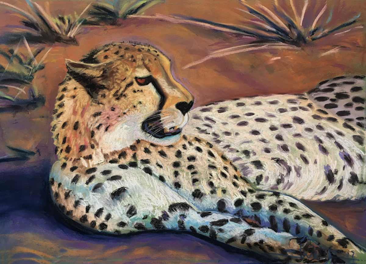 Cheetah Resting by Stuart Burton, Image 1.
