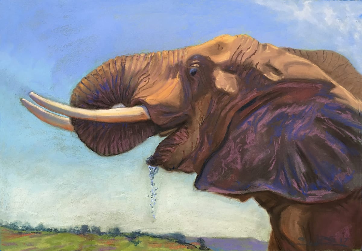 Elephant Drink by Stuart Burton, Image 1.