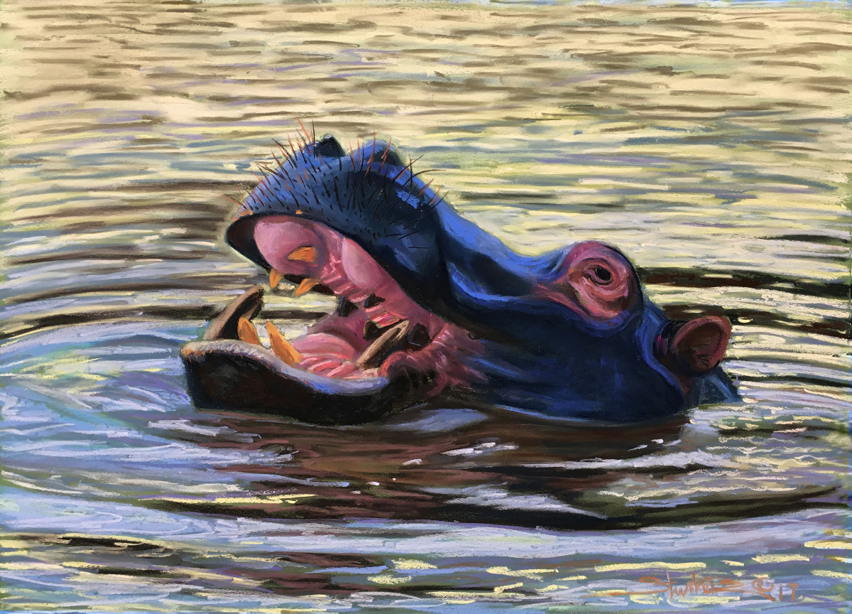 Hippo Sighting by Stuart Burton 