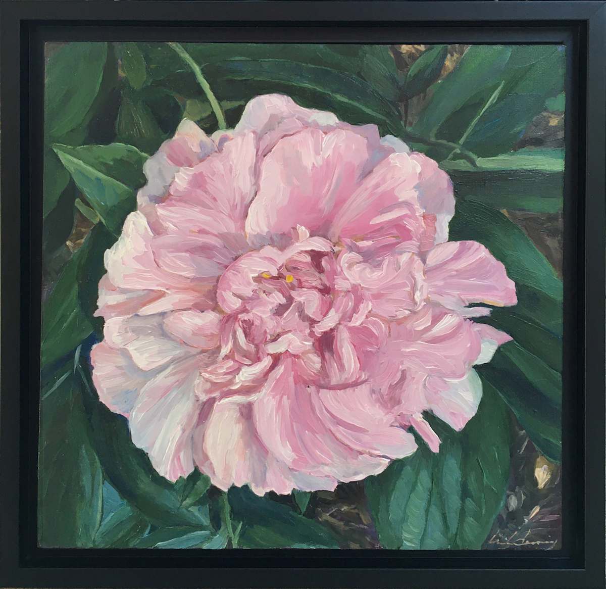 Pink Peony Unfurled by Linda Deming  Image: A classic feel for a classic home. With a wooden black floating frame.