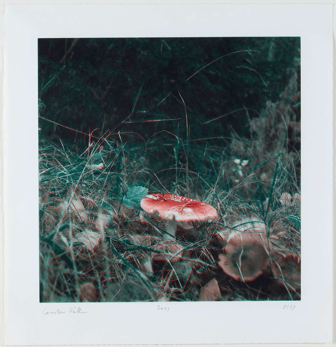 Mushroom by Carsten Höller 