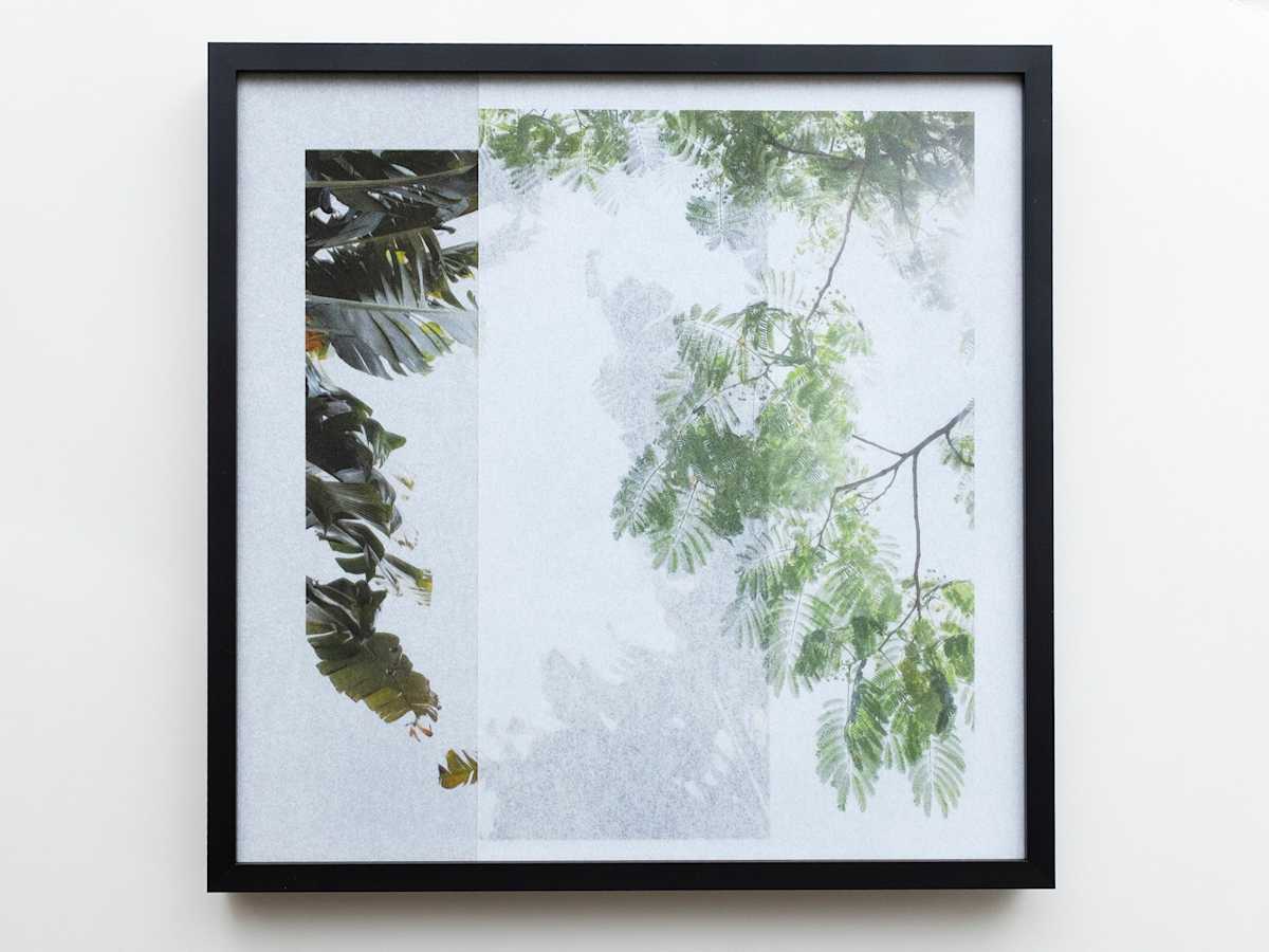 forest_2.214 - 28.518 by Sandra Köstler 