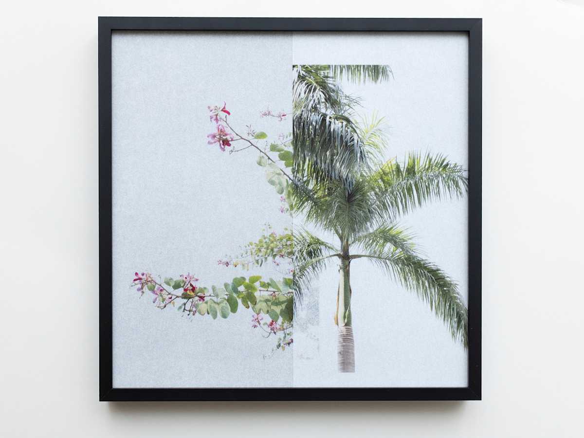 forest_5.295 - 28.518 by Sandra Köstler 