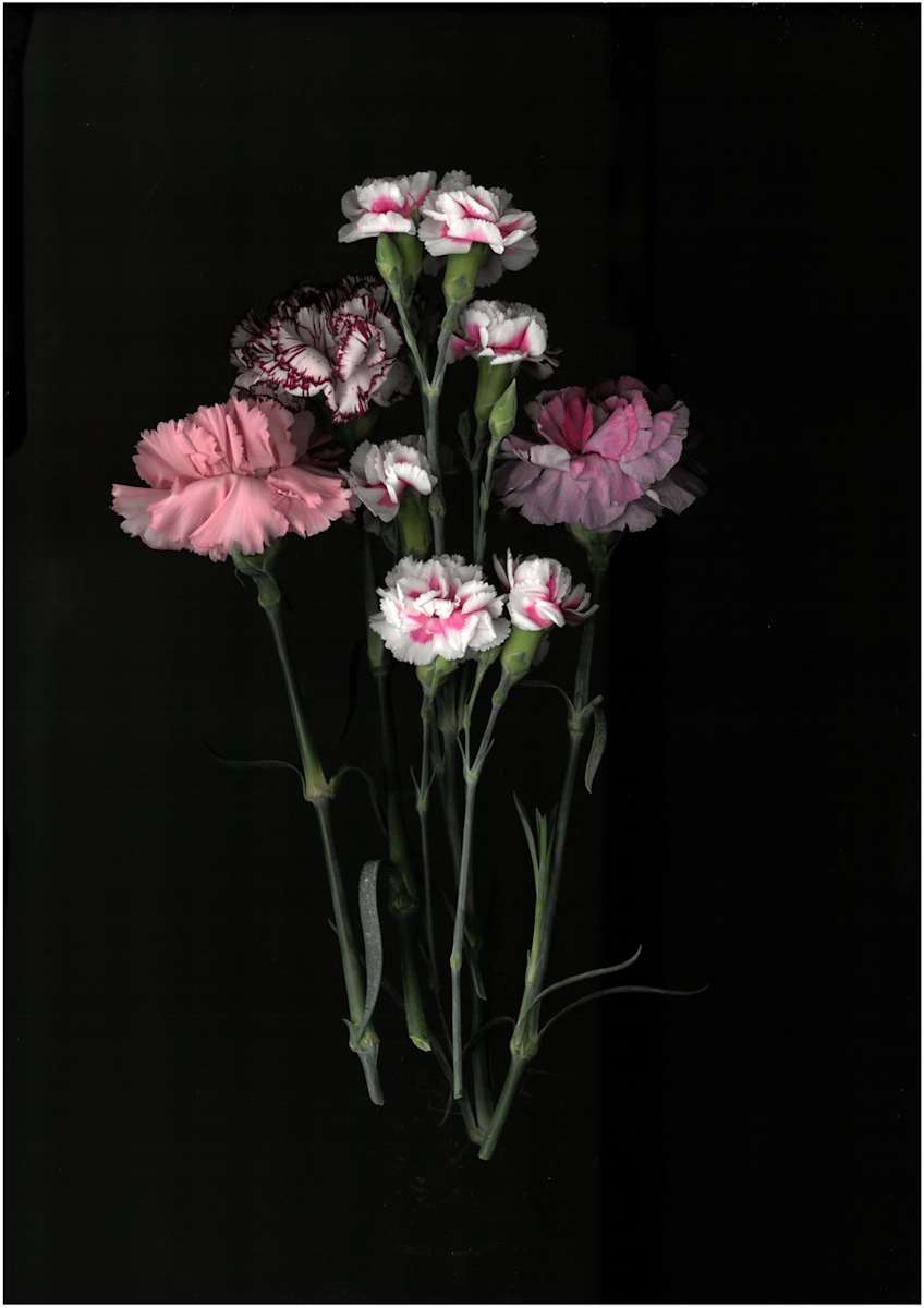 2380 by Andrea Esswein, Image 1.