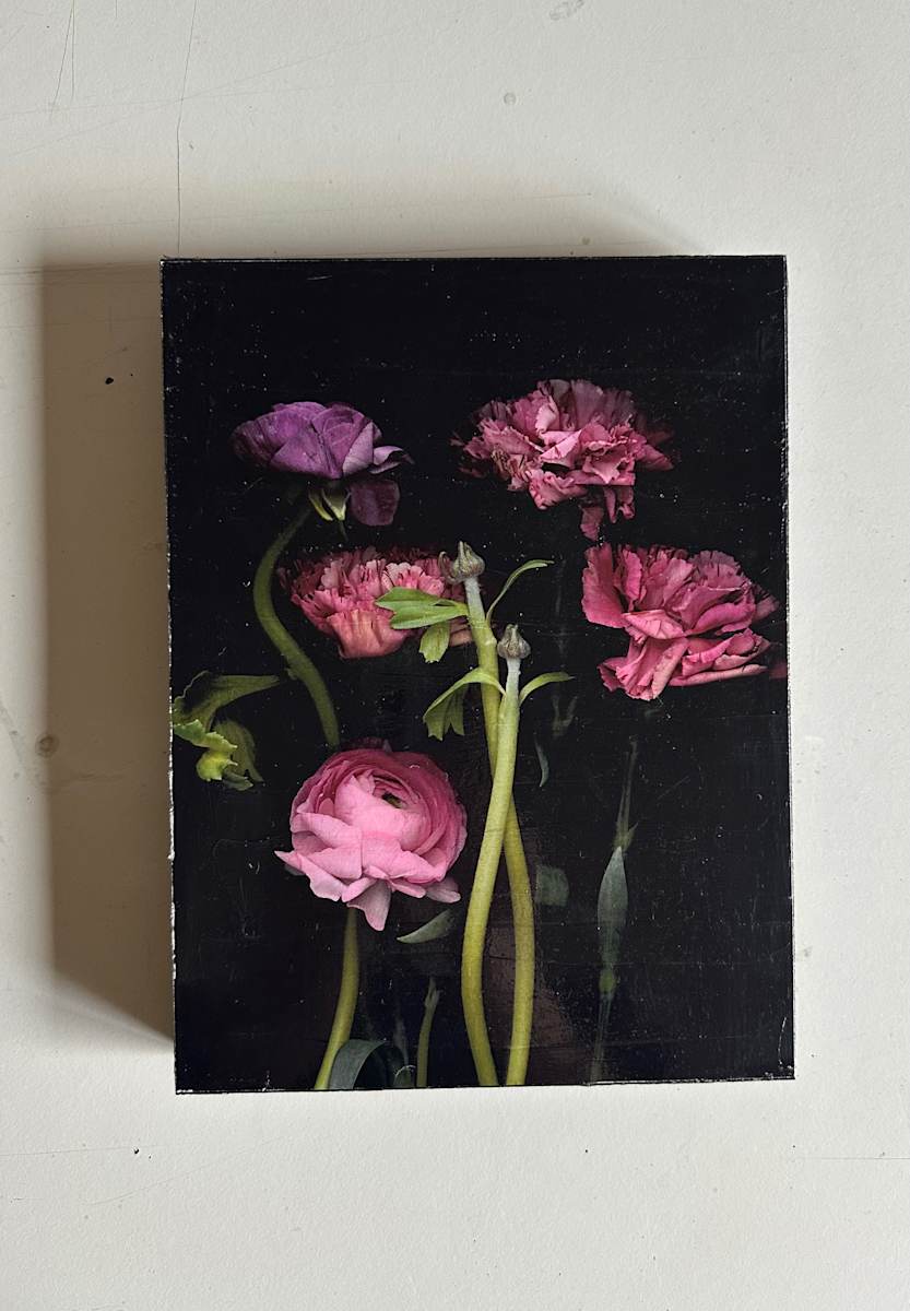 Nelken & Ranuculus Rosa Nr.12 by Andrea Esswein 