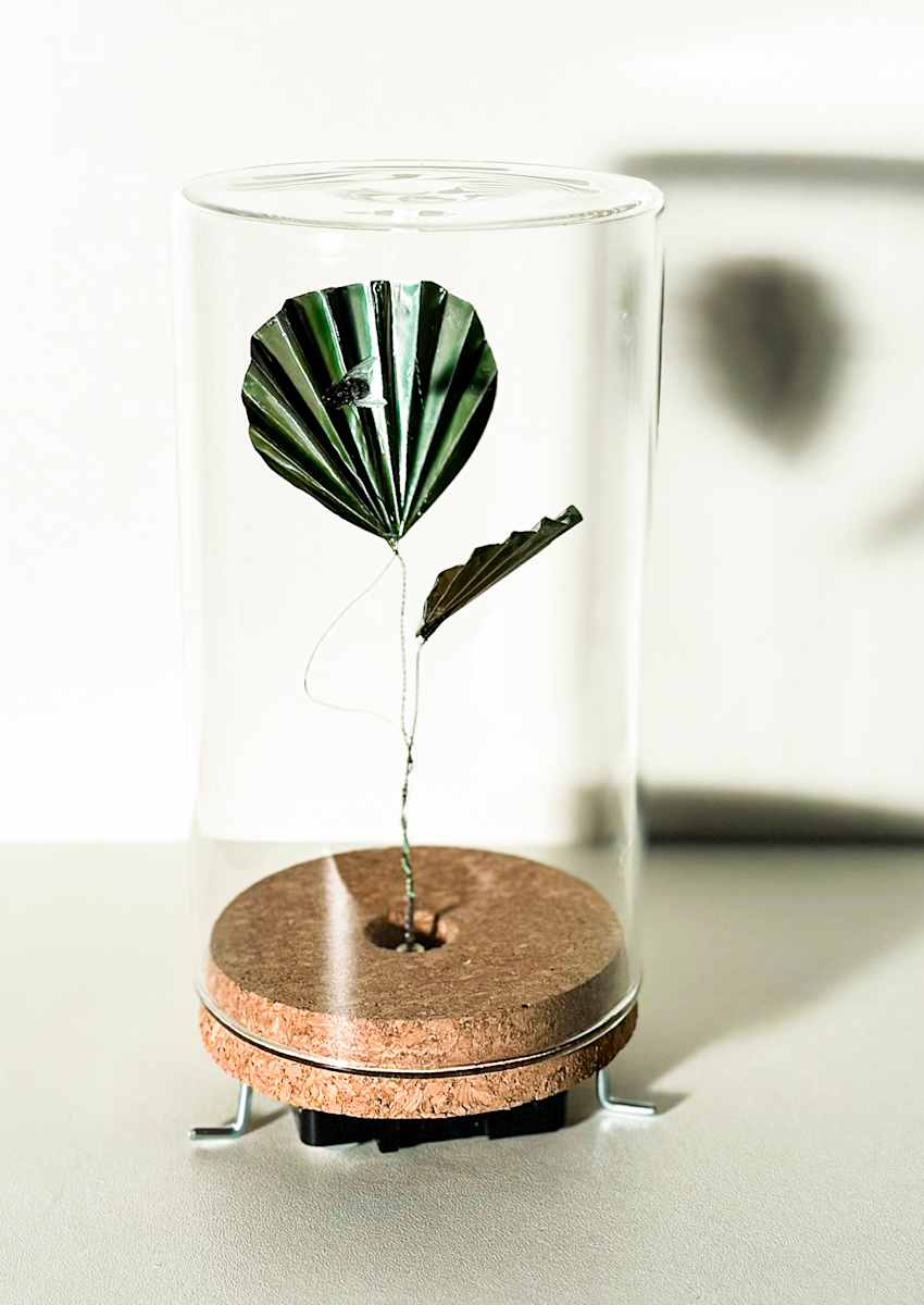 Time Flies I by Nina Kozelj, Image 2.