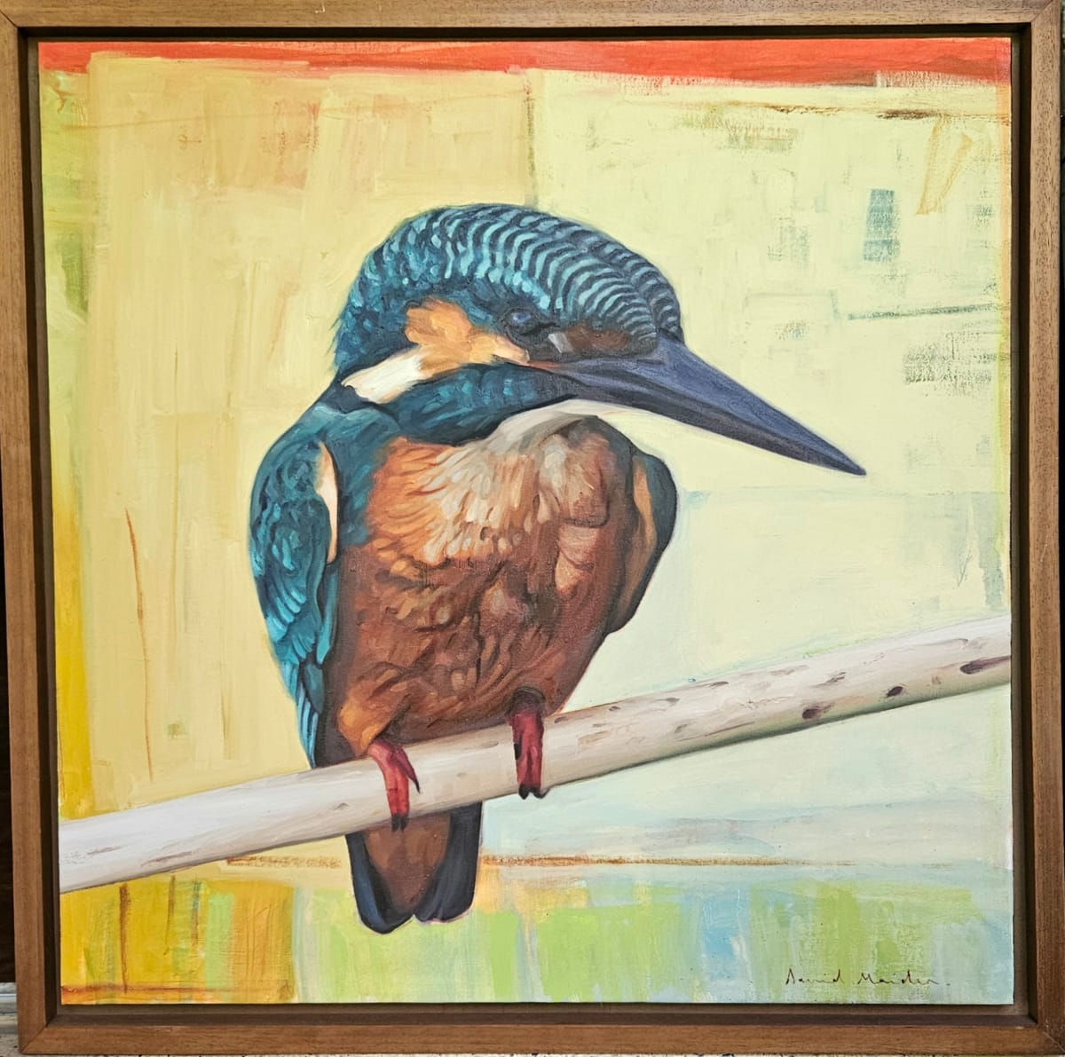 Kingfisher by David Maiden 