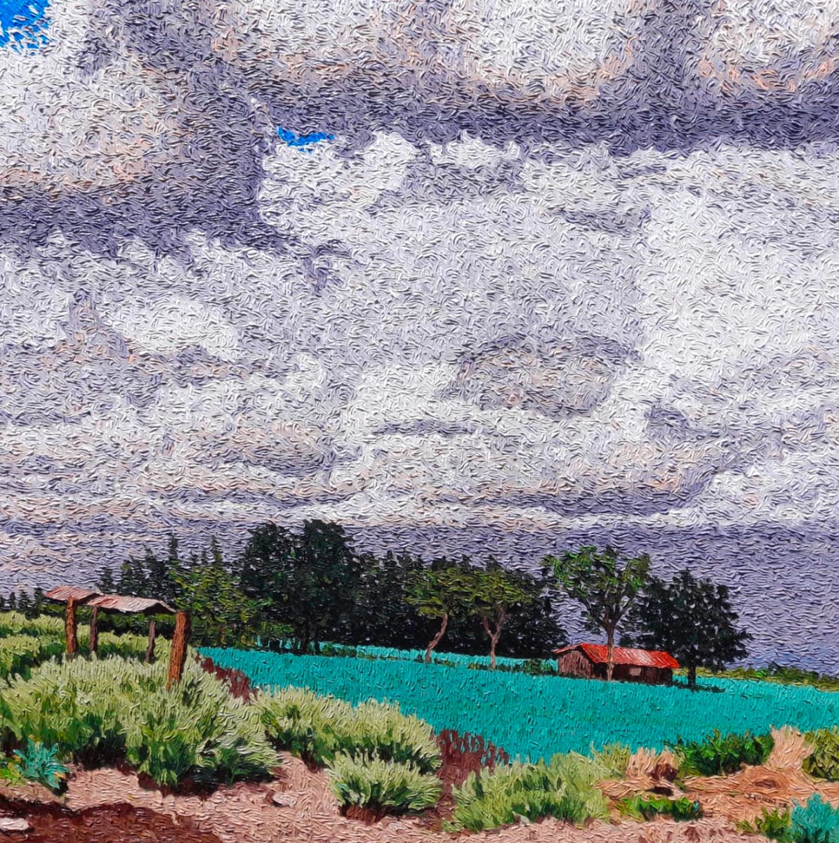 Onion Fields II by John Kariuki 