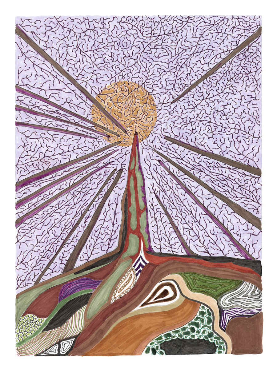 123 Tree with radial perspective by Timothy Ray Horn 