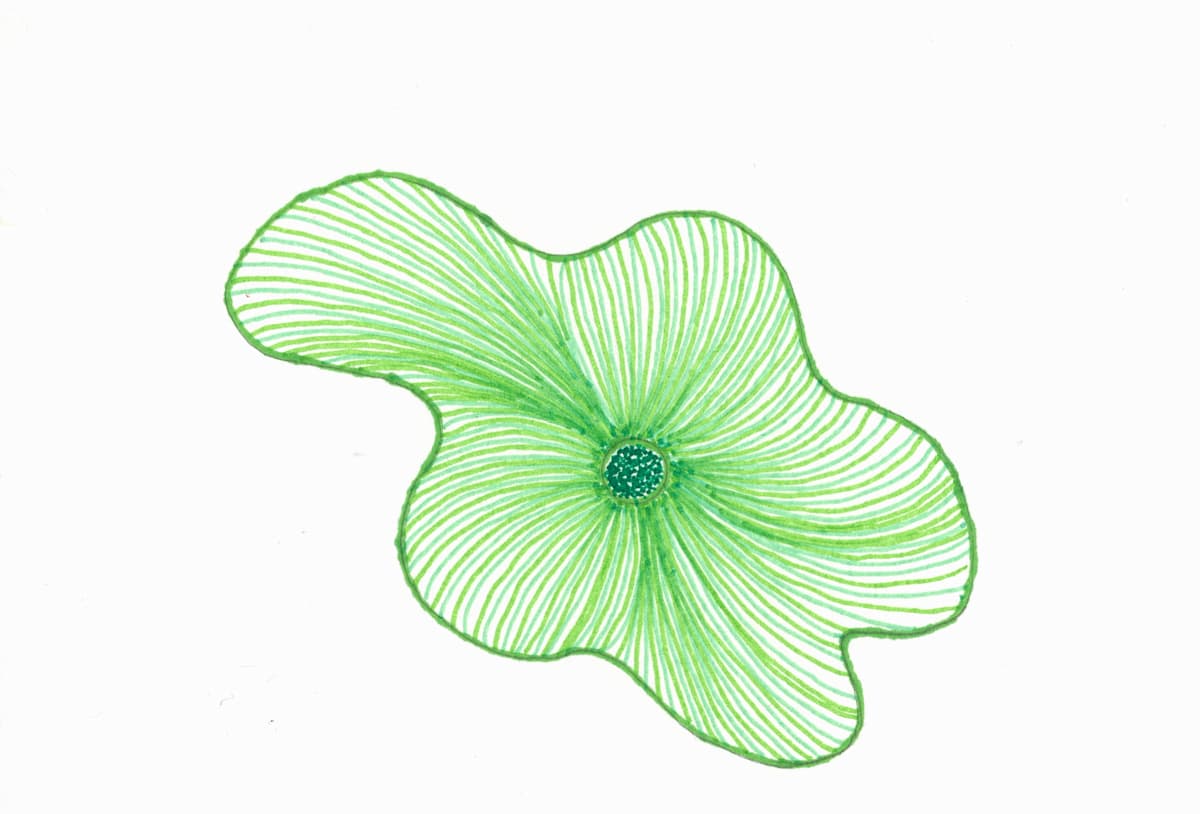 145g by Timothy Ray Horn 